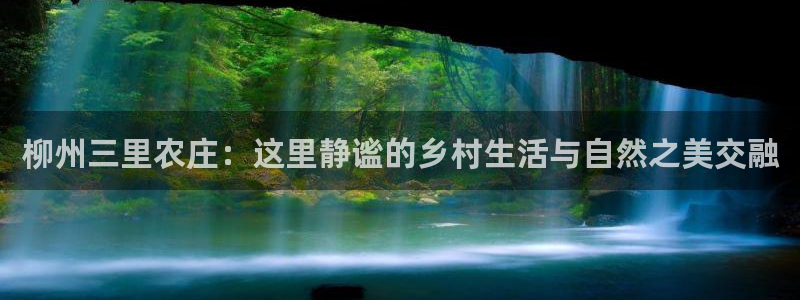 fh至尊是老凤凰吗
