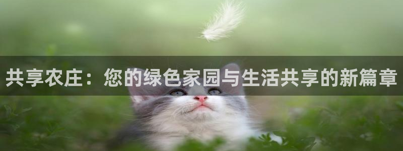 fh至尊游戏模式