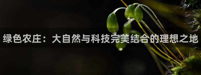 fh至尊双色球开奖结果