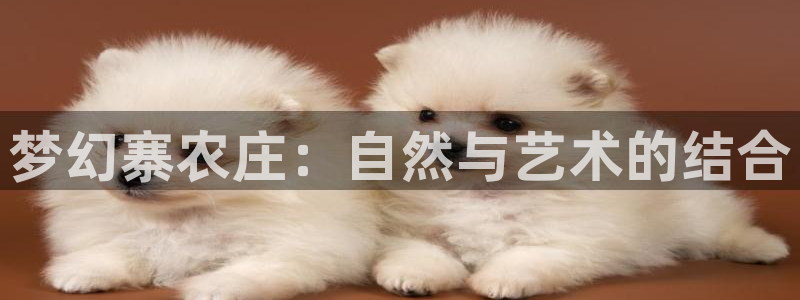 fh至尊经典