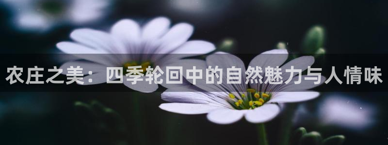 FH至尊出问题了