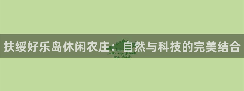 fh至尊安全吗