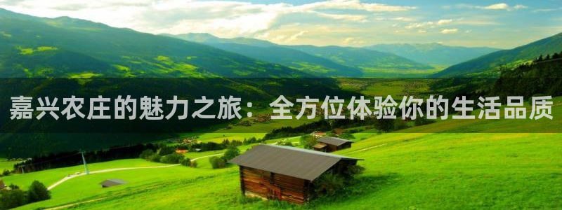 fh至尊安全吗
