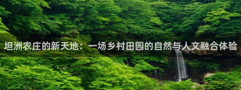 fh至尊黑不黑