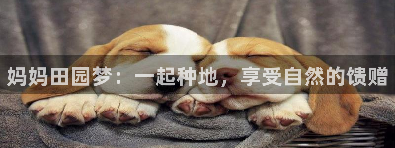 fh至尊怎么安装