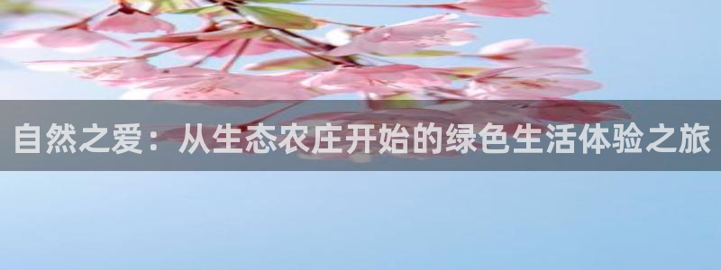 fh至尊平台玩的人多吗