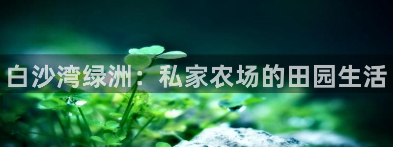 FH至尊不给提现