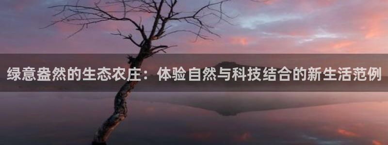 FH至尊出问题了