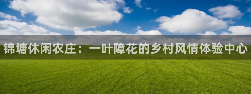 FH至尊是什么意思