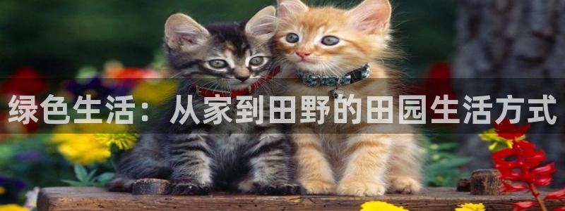 fh至尊平台正常登录