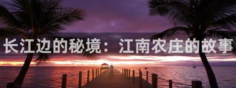 FH至尊平台登录