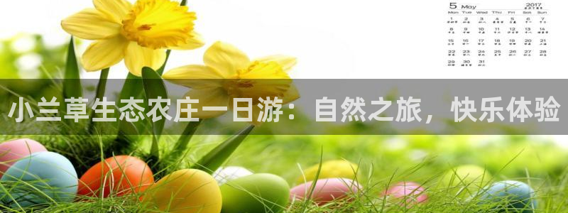 fh至尊版手机app