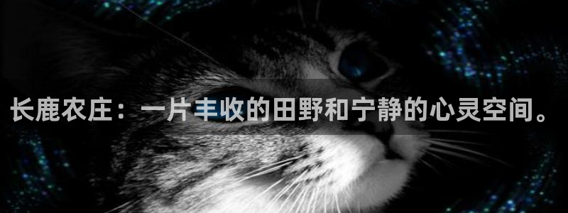 FH至尊信誉怎么样