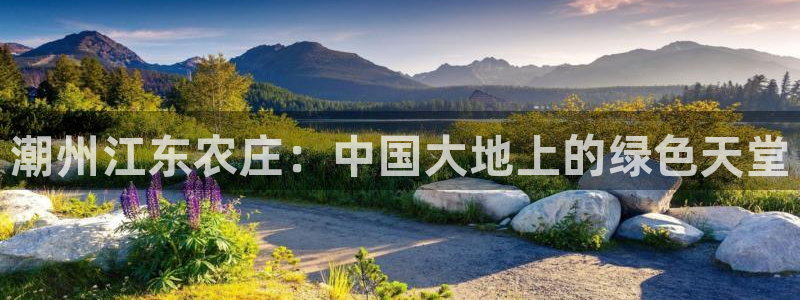 fh至尊提现不了