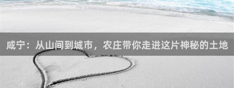 fh至尊app下载安装