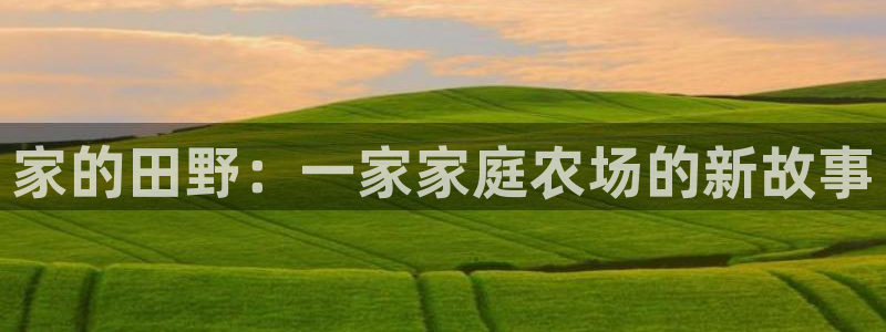 fh至尊平台怎么提现