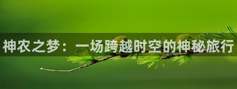 FH至尊属于哪里啊公司