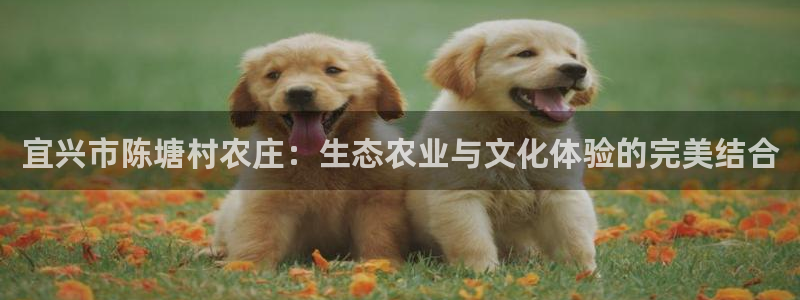 FH至尊信誉怎么样