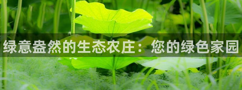 fh至尊是什么平台