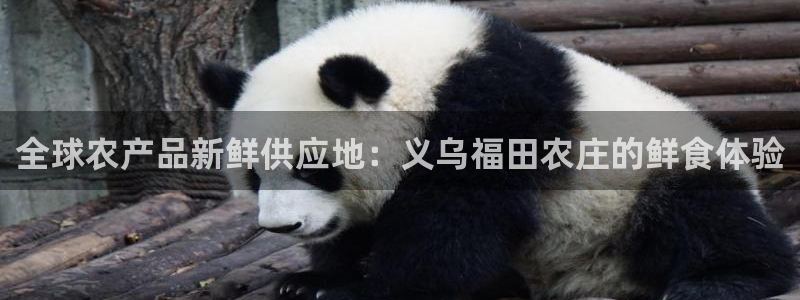 FH至尊信誉怎么样