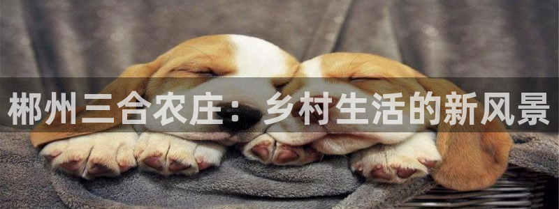 fh至尊平台冻结