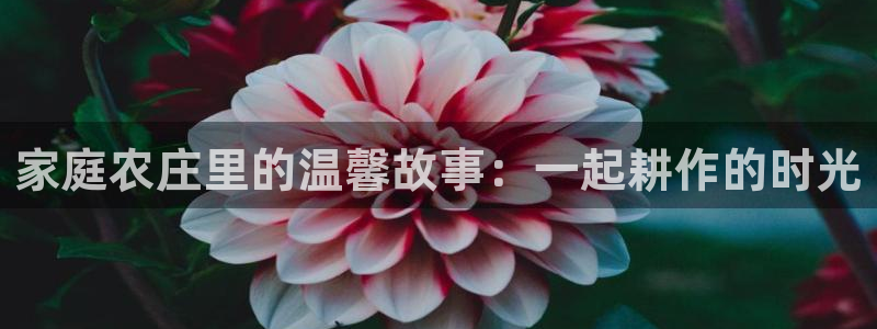 FH至尊凤凰平台登录