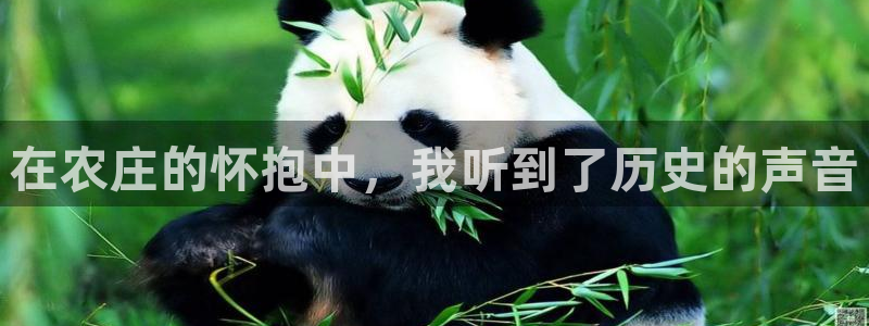 fh至尊是老凤凰吗