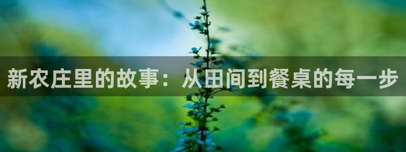 fh至尊app靠谱吗