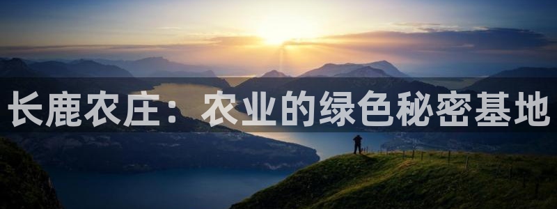 FH至尊娱乐注册