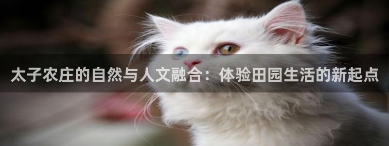 fh至尊怎么注册