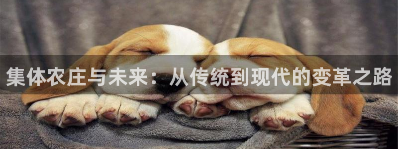 fh至尊游戏安全平台