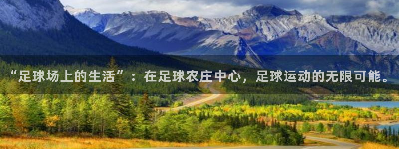 fh至尊是老凤凰吗