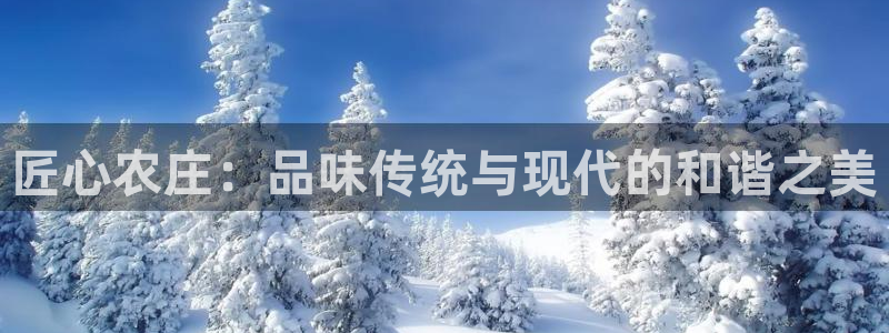 fh至尊平台登录注册