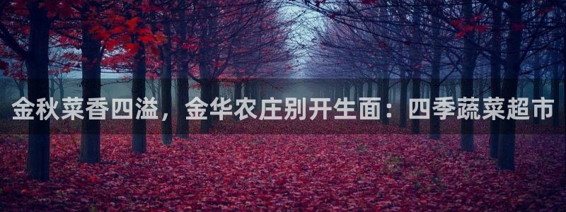 FH至尊凤凰平台登录