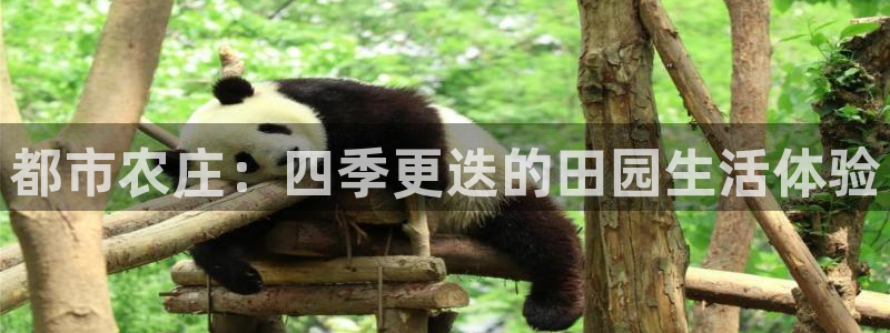 FH至尊开户平台