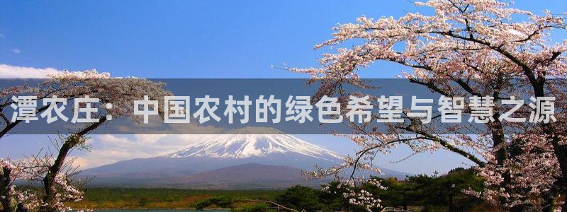 fh至尊吧百度贴吧