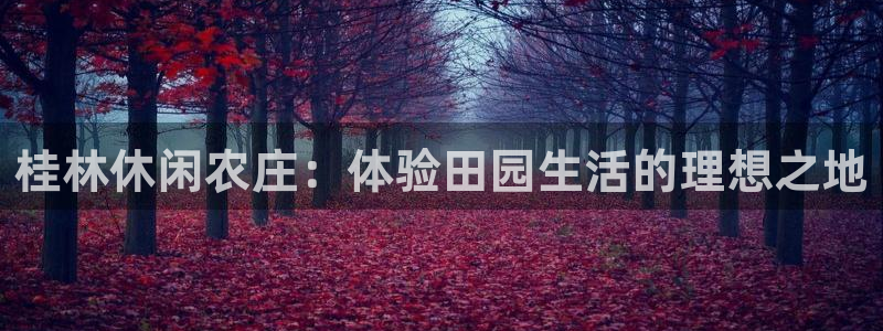 fh至尊多少年了