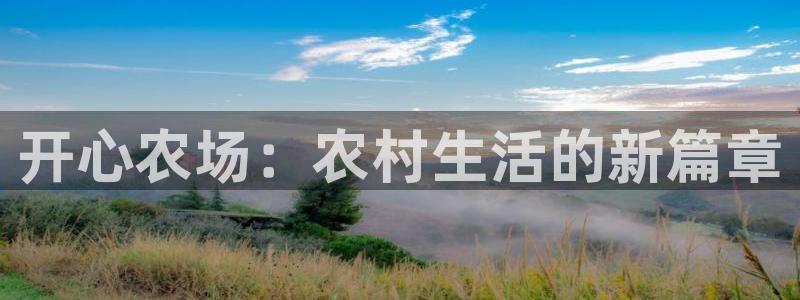 fh至尊平台多少年了