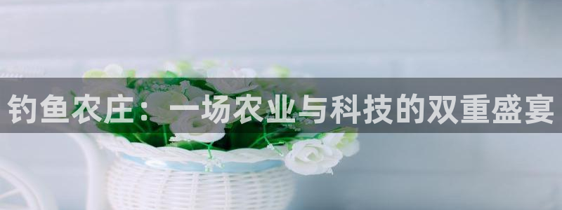 fh至尊手机端进不去