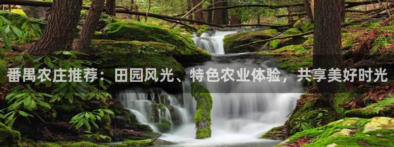 fh至尊平台安全密码忘记了