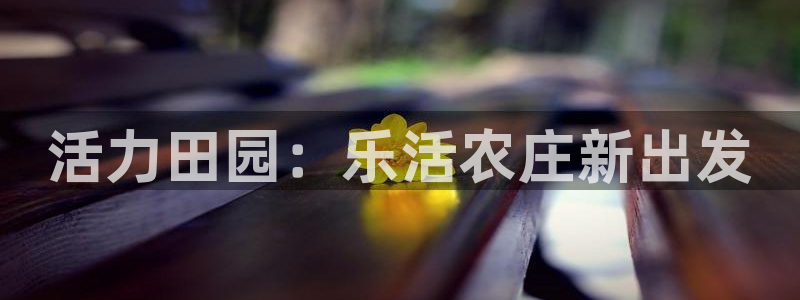 FH至尊平台老板是谁