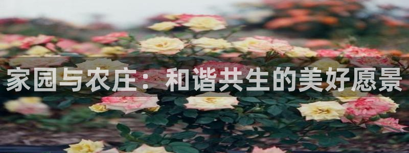 fh至尊多少年了