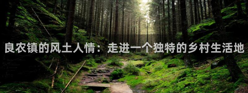 fh至尊香港办事处