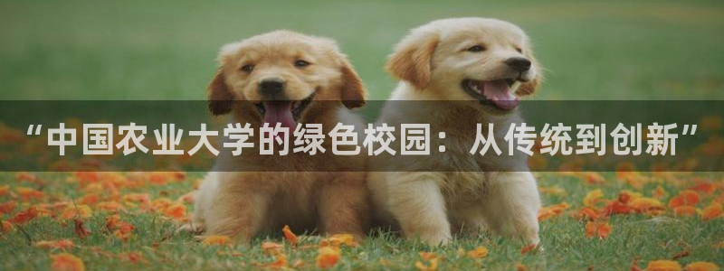 FH至尊是正规平台吗