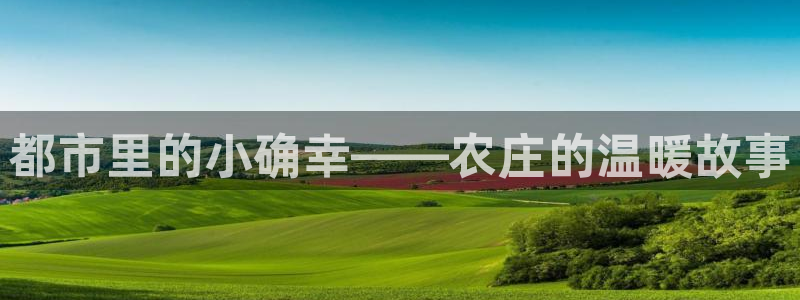 FH至尊出问题了