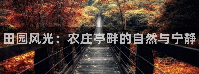 FH至尊官方入口