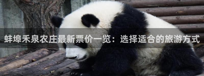 fh至尊平台多少年了