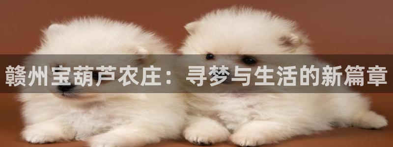 fh至尊凤凰代理