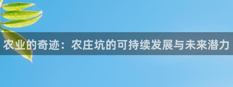 fh至尊凤凰消息的范本