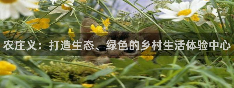 fh至尊app下载安装